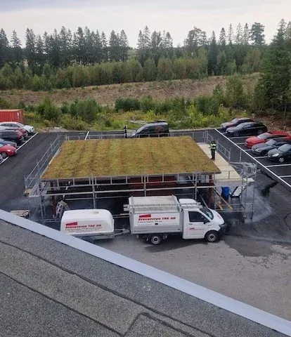 Nyanlagt sedumtak på en industribyggnad