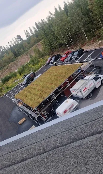 Sedumtak på en byggnad sett ovanifrån